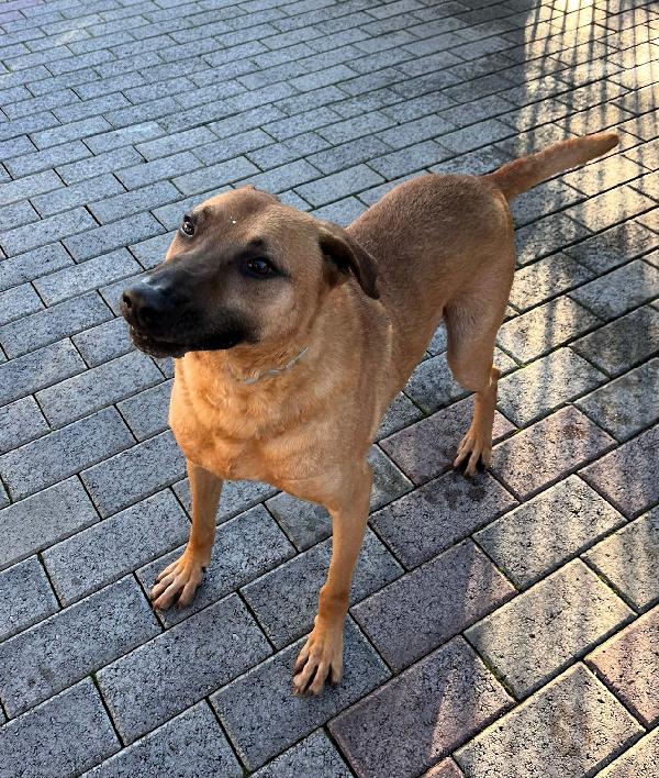 Sono Argo Mi Porti Via Con Te?